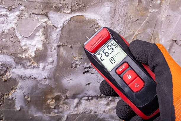 Best DIY Mold Remediation Support Services in Monroe North, WA