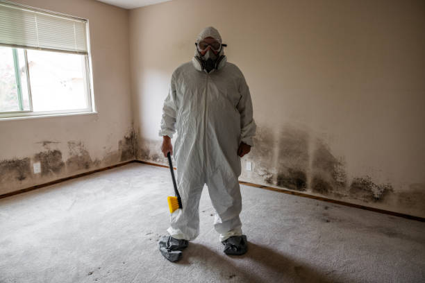 Reliable Monroe North, WA Mold Remediation Solutions